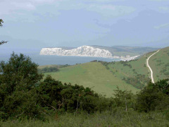 The Cottage, Brighstone, Isle of Wight. Self Catering Country Cottage