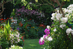 Family run bed and breakfast, Lake Hotel, Ventnor, Isle of Wight