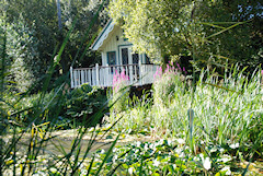 Thatched country cottage with swimming pool, Rose Cottage, Roud, Isle of Wight