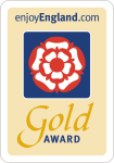 gold award