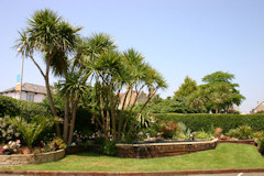 Hambledon Hotel, Shanklin, Isle of Wight. Friendly, family run hotel